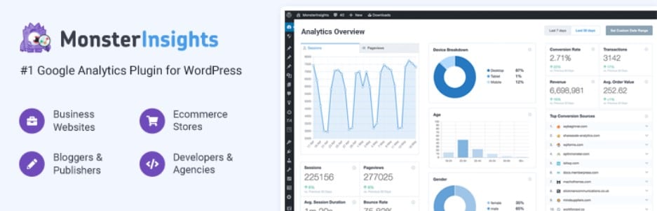  MonsterInsights